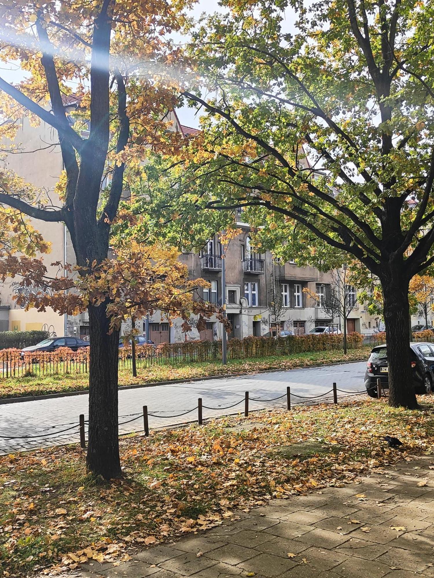 Apartament Stylowa Kamienica 弗罗茨瓦夫 外观 照片